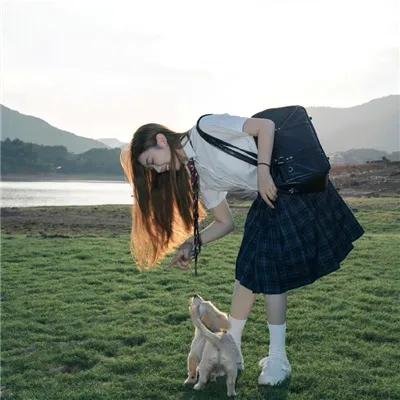 猛虎之家